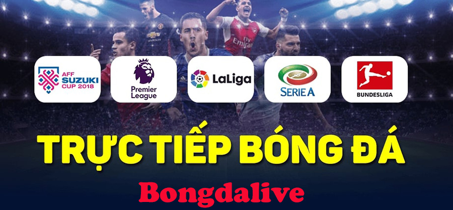 Cách xem bóng đá trực tiếp trên bongdalive tv