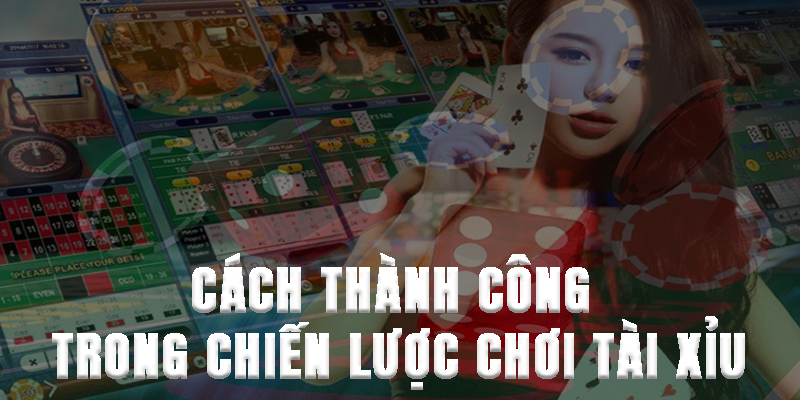 Cách thành công trong chiến lược chơi tài xỉu