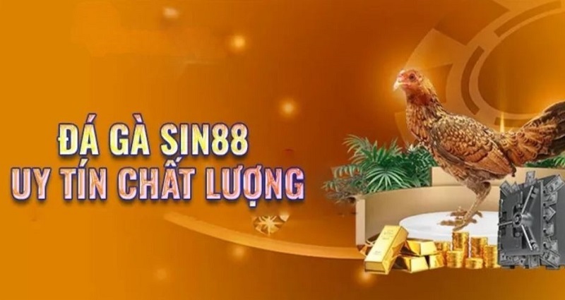 Thông tin về đá gà Sin88