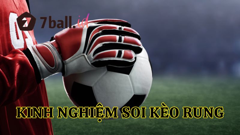 Bí kíp soi kèo rung bóng đá đỉnh cao tại 7Ball